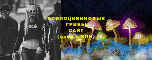 мяу мяу мука Баксан