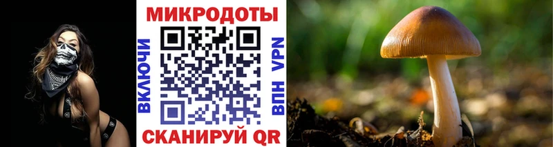 Псилоцибиновые грибы прущие грибы Мензелинск